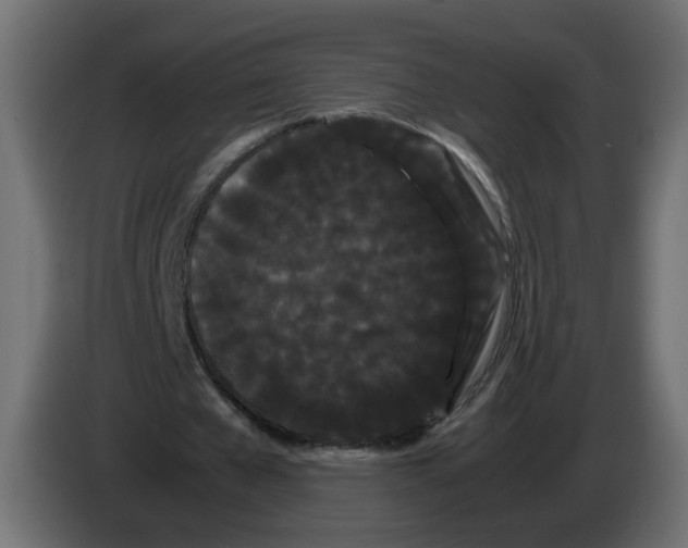 X0000082940577200703020129