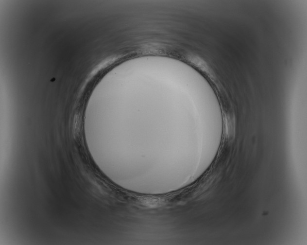 X0000082940579200703020129