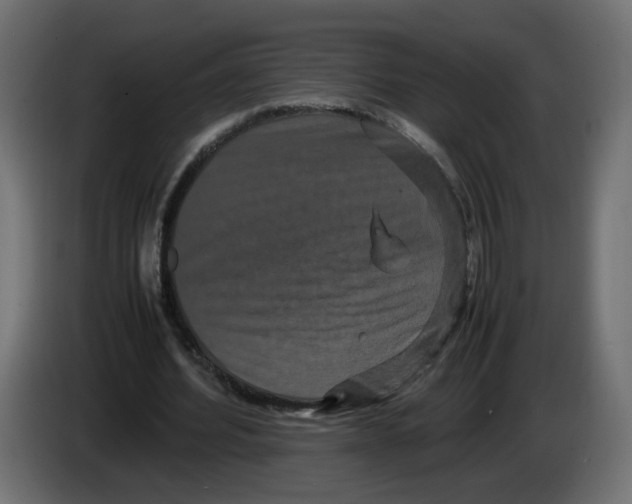 X0000082940580200703020129