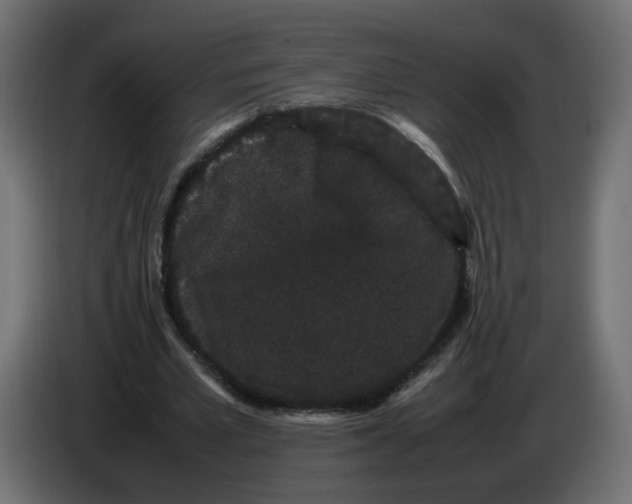 X0000082940581200703020129