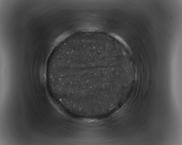 X0000082940582200703020129