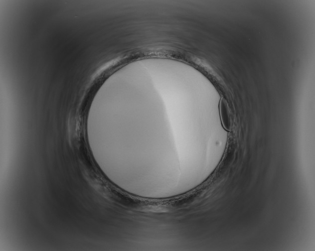 X0000082940583200703020129