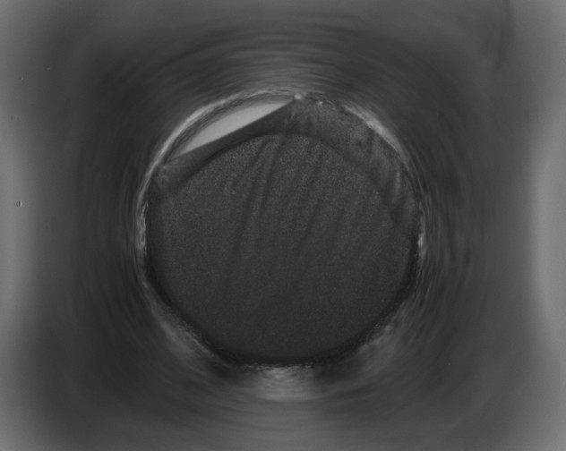 X0000082940584200703020129