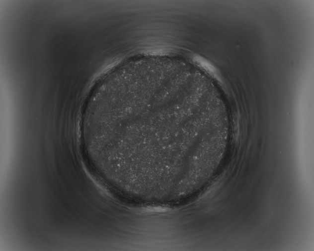 X0000082940586200703020129