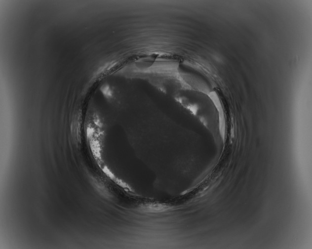 X0000082940590200703020129