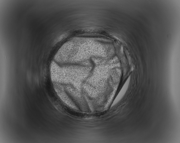 X0000082940591200703020129