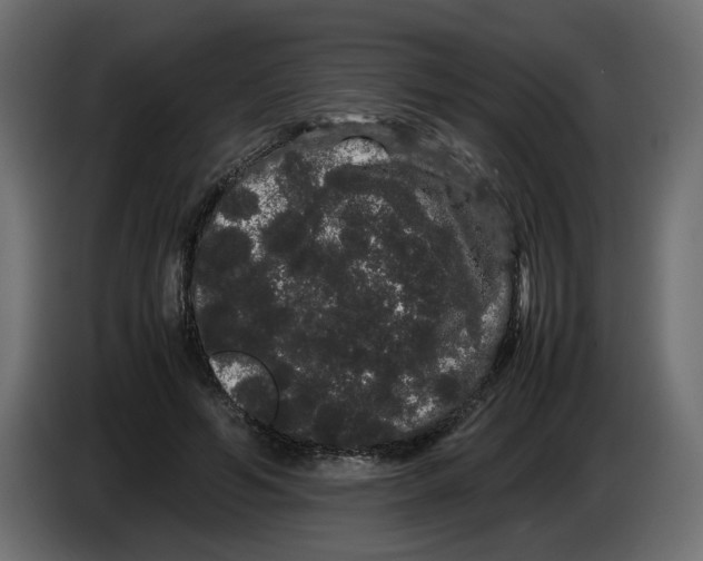 X0000082940594200703020129