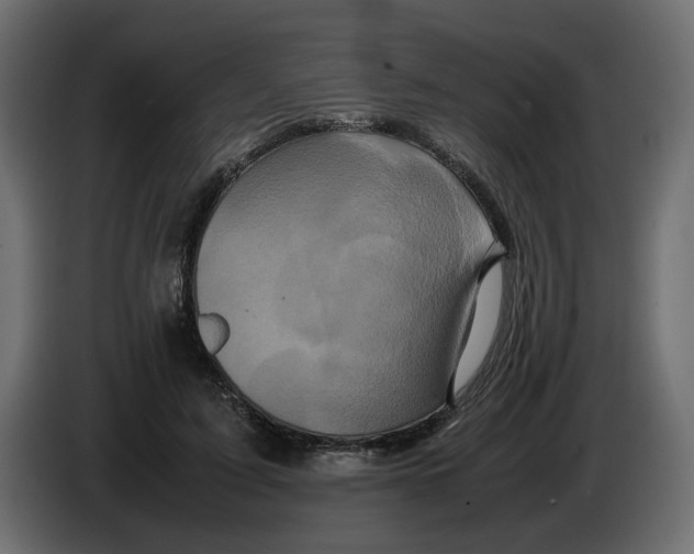 X0000082940595200703020129