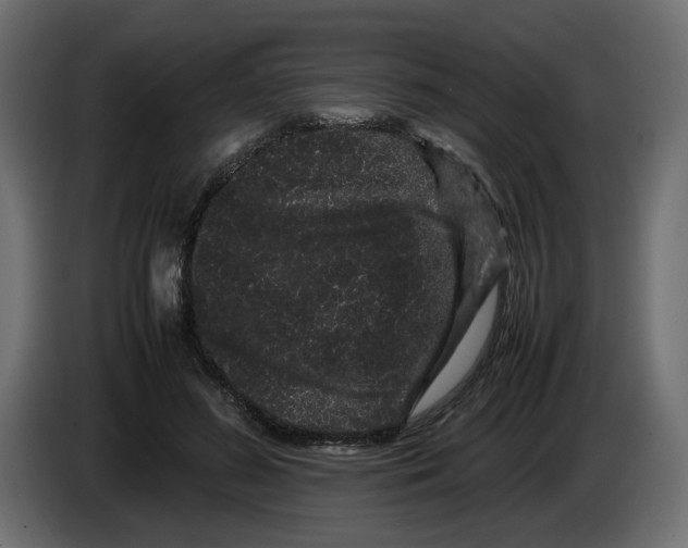 X0000082940596200703020129