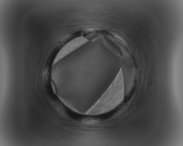 X0000082940597200703020129