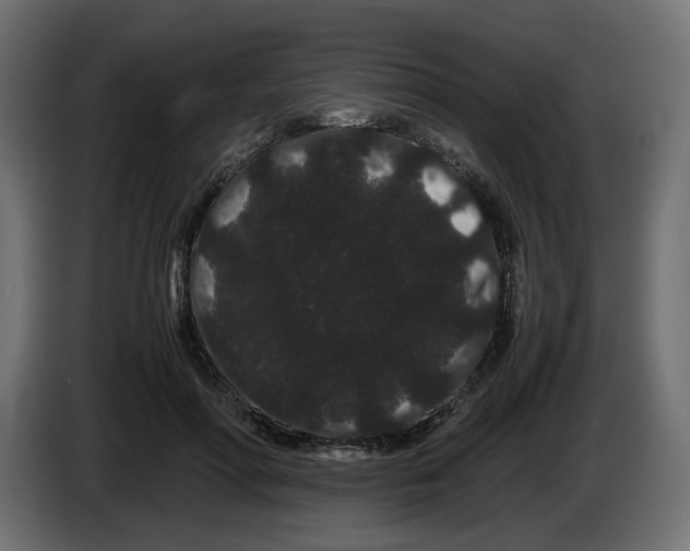 X0000082940598200703020129