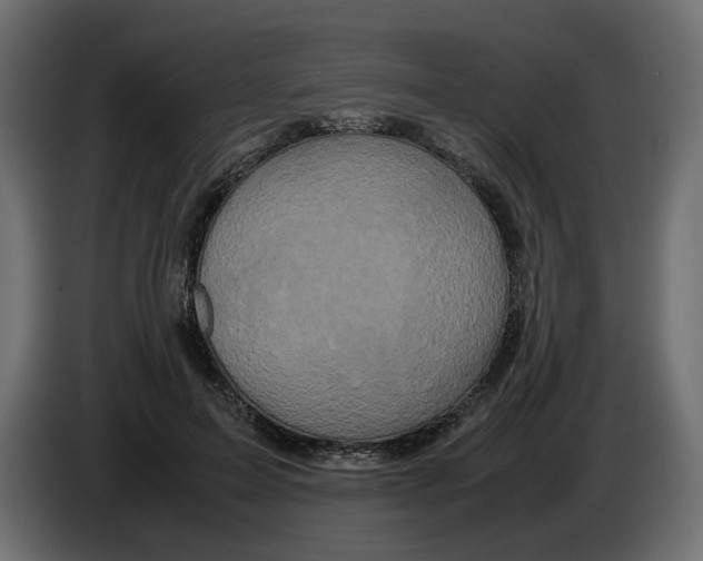 X0000082940599200703020129