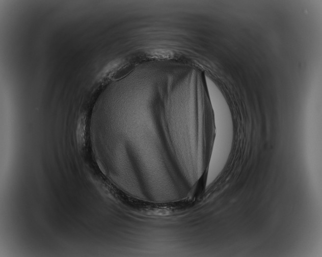 X0000082940600200703020129