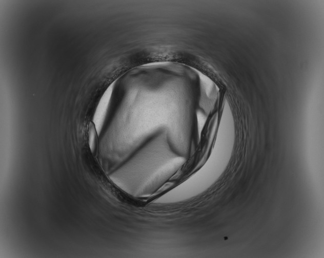 X0000082940601200703020129