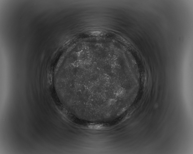 X0000082940602200703020129