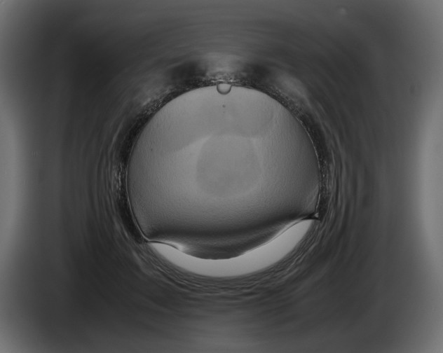 X0000082940603200703020129