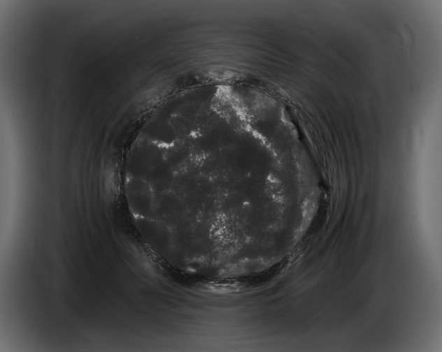 X0000082940606200703020129