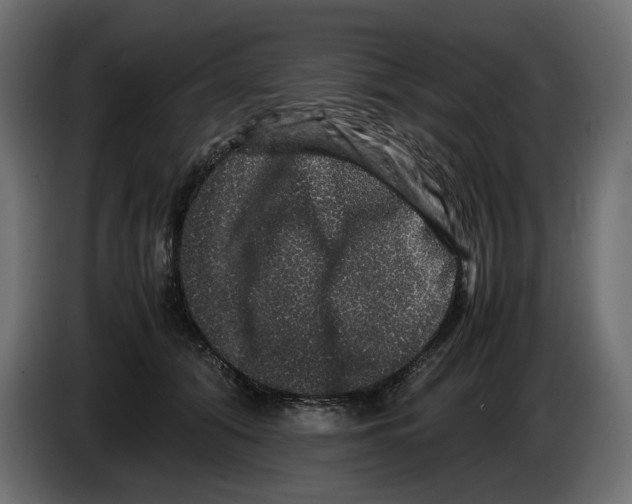 X0000082940608200703020129