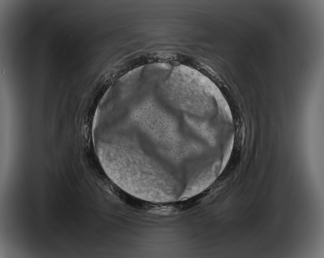 X0000082940609200703020129