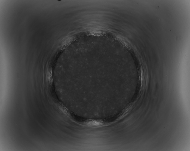 X0000082940610200703020129