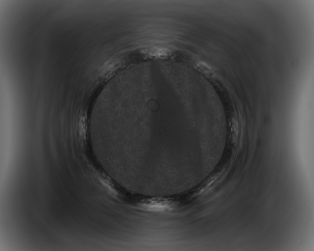 X0000082940612200703020129