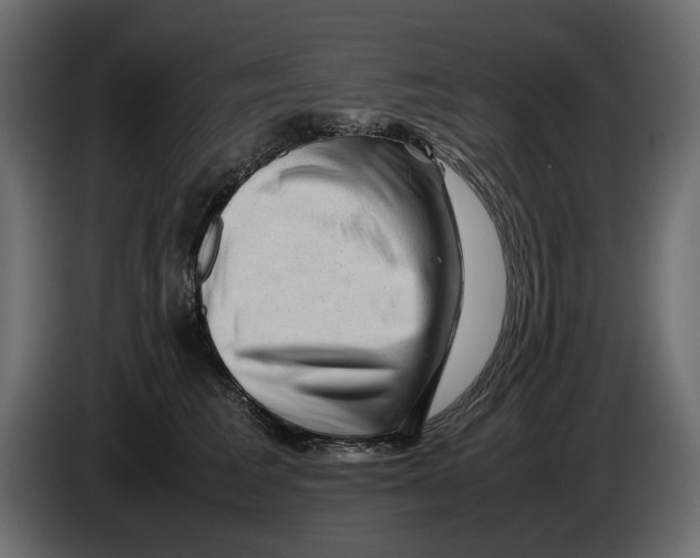 X0000082940613200703020129