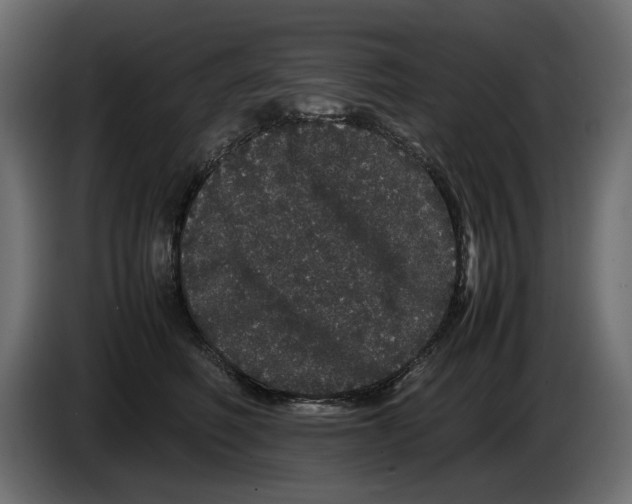 X0000082940614200703020129