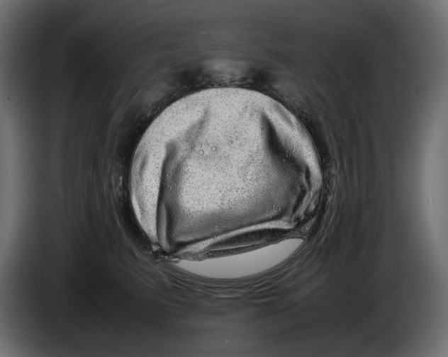 X0000082940615200703020129