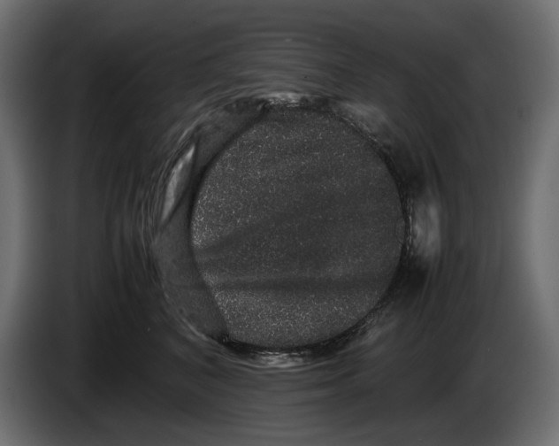 X0000082940616200703020129