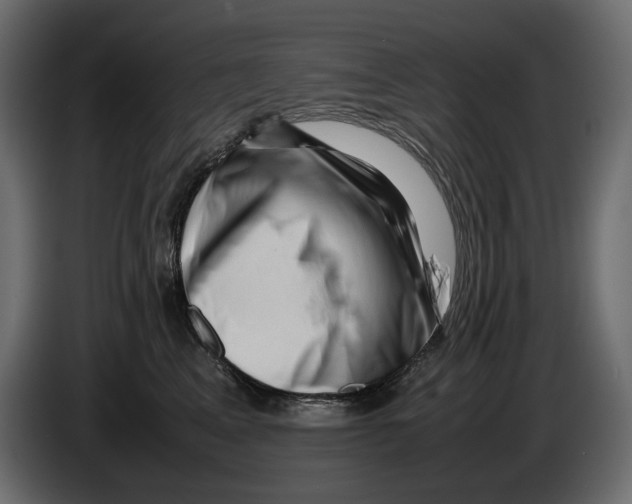 X0000082940617200703020129