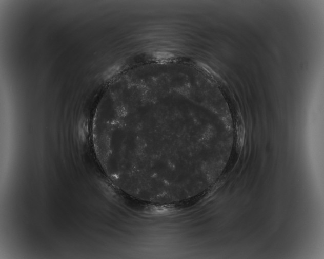 X0000082940618200703020129