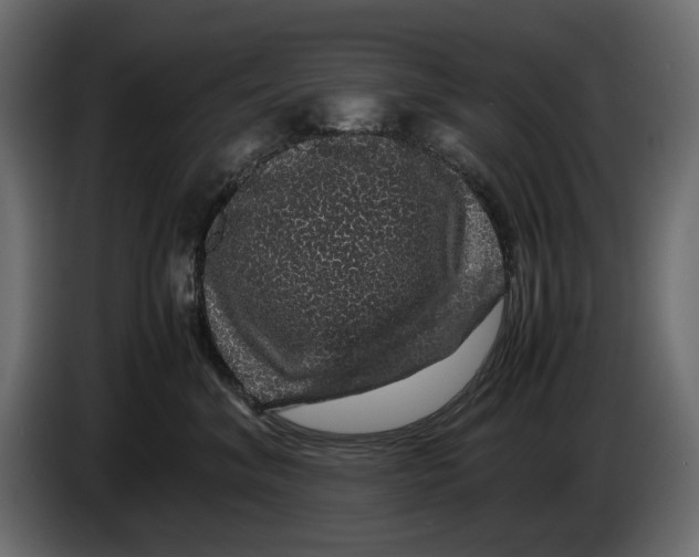 X0000082940620200703020129