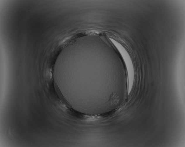 X0000082940621200703020128