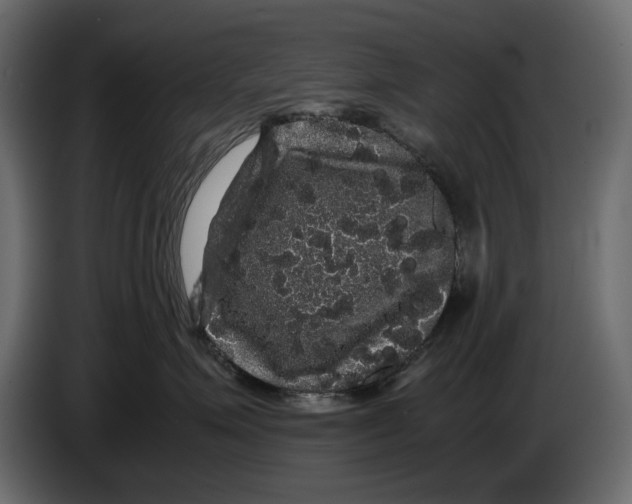 X0000082940623200703020128