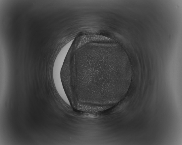 X0000082940624200703020128