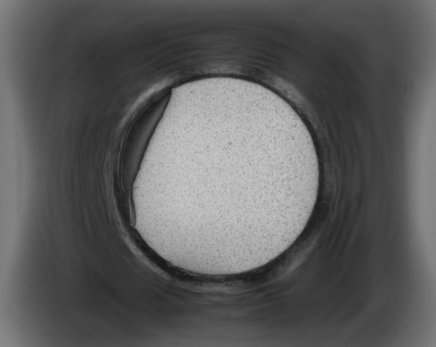 X0000082940625200703020128