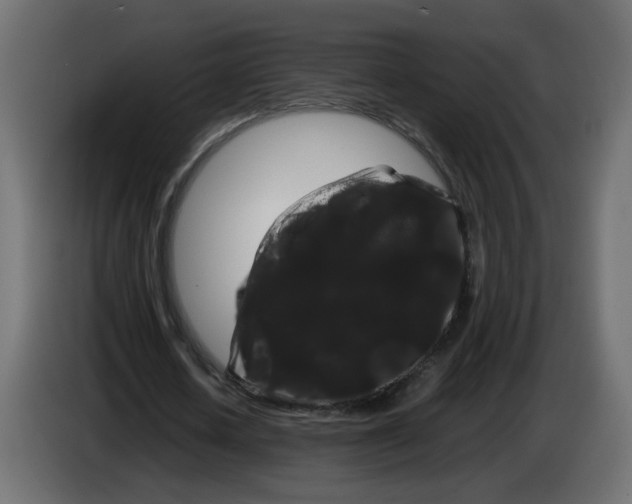 X0000082940626200703020128