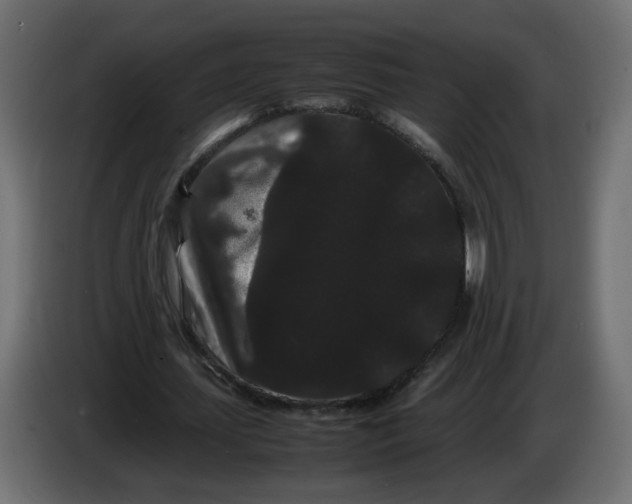 X0000082940627200703020128