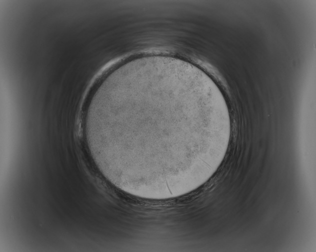 X0000082940628200703020128