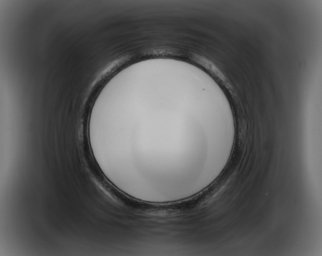 X0000082940629200703020128