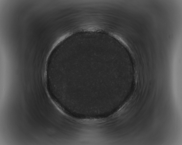 X0000082940630200703020128