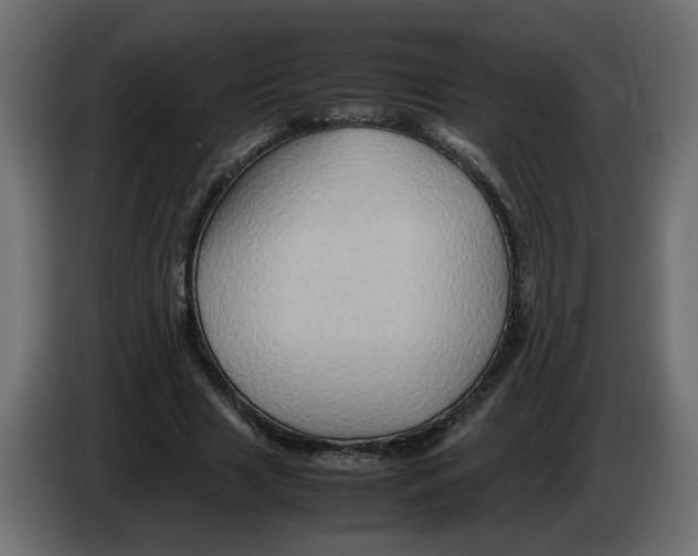 X0000082940633200703020128