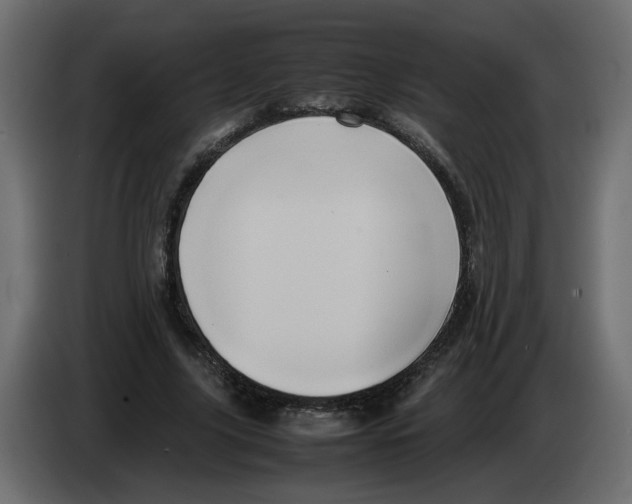 X0000082940635200703020128