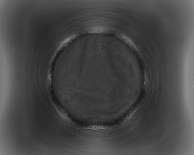 X0000082940636200703020128