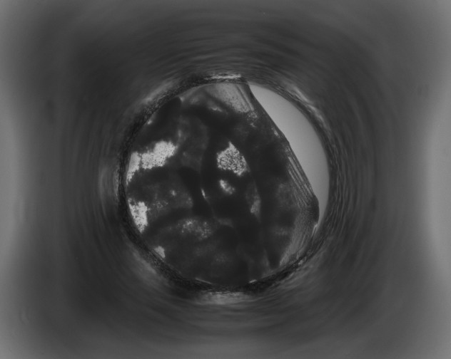 X0000082940637200703020128