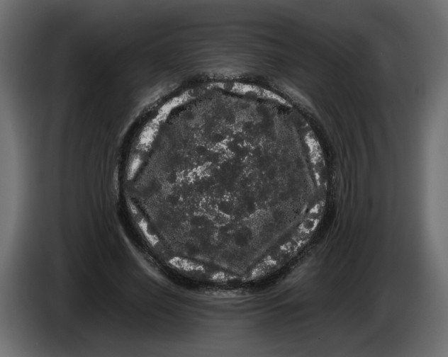 X0000082940638200703020128