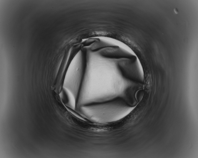 X0000082940639200703020128