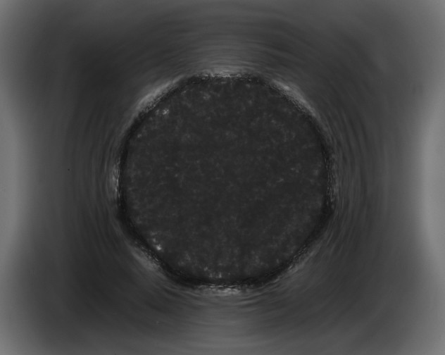 X0000082940640200703020128