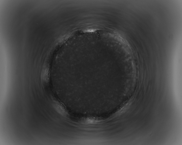 X0000082940641200703020128