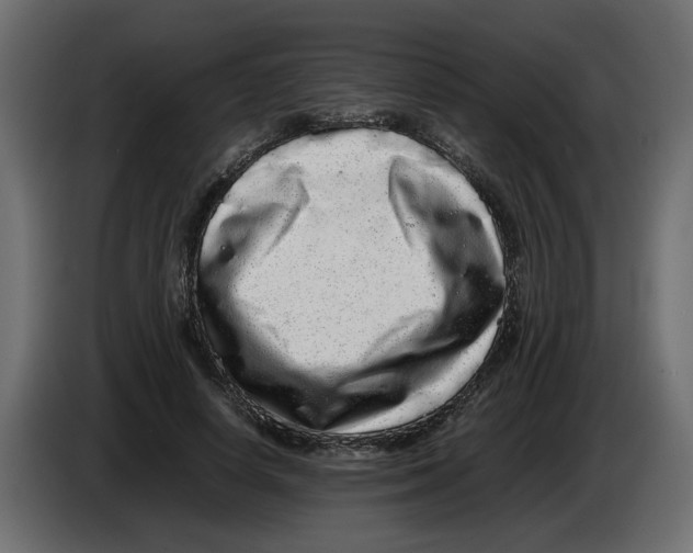 X0000082940642200703020128